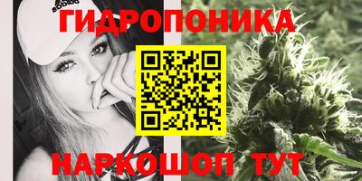 кокс Гусев