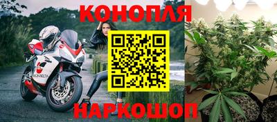 кокс Гусев