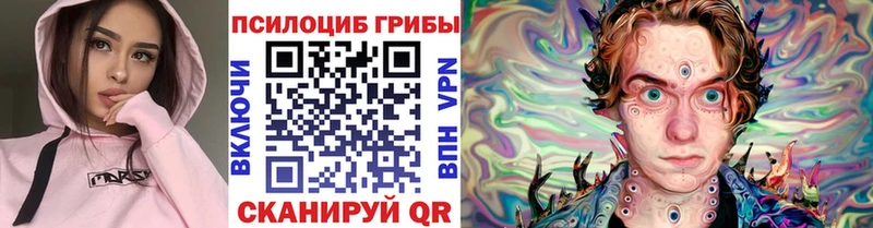хочу   Надым  Псилоцибиновые грибы Psilocybe 