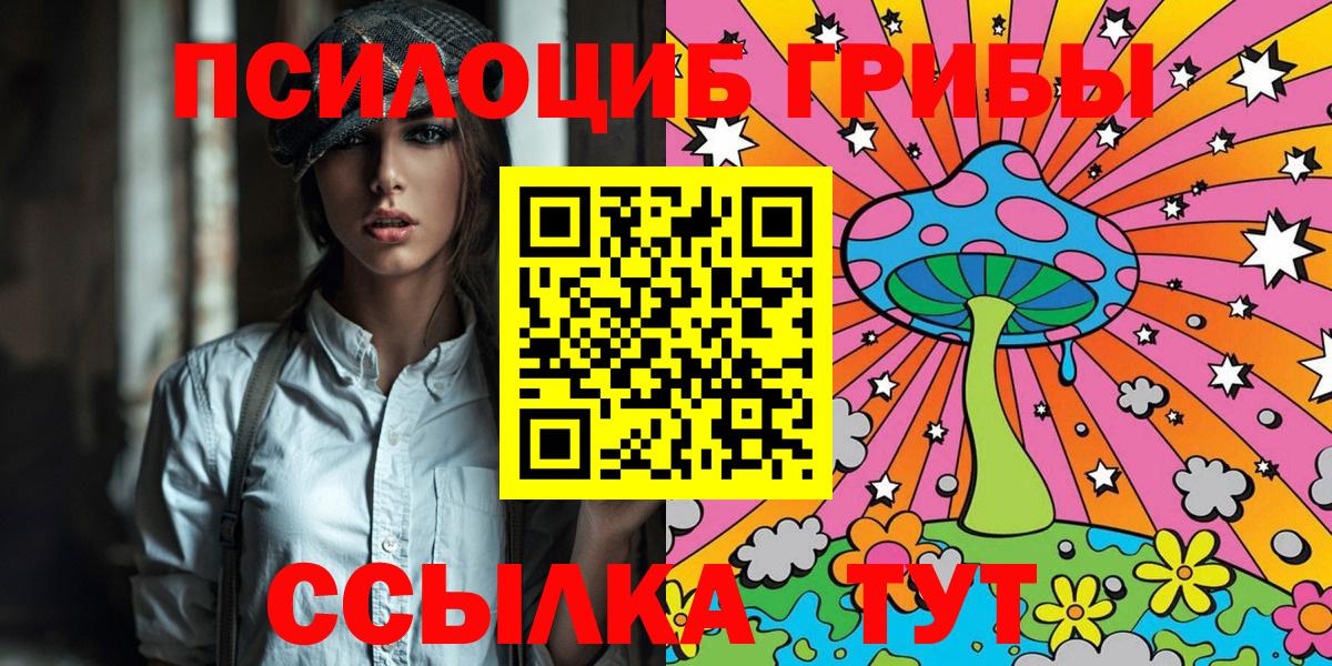 Псилоцибиновые грибы Psilocybe Надым