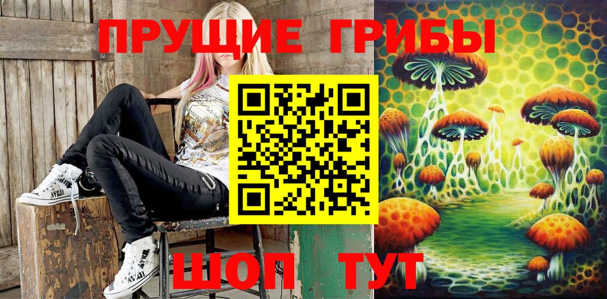 Надым  Псилоцибиновые грибы MAGIC MUSHROOMS  Вход с VPN  Галлюциногенные грибы GOLDEN TEACHER 