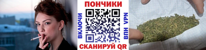 Каннабис сатива  Надым 